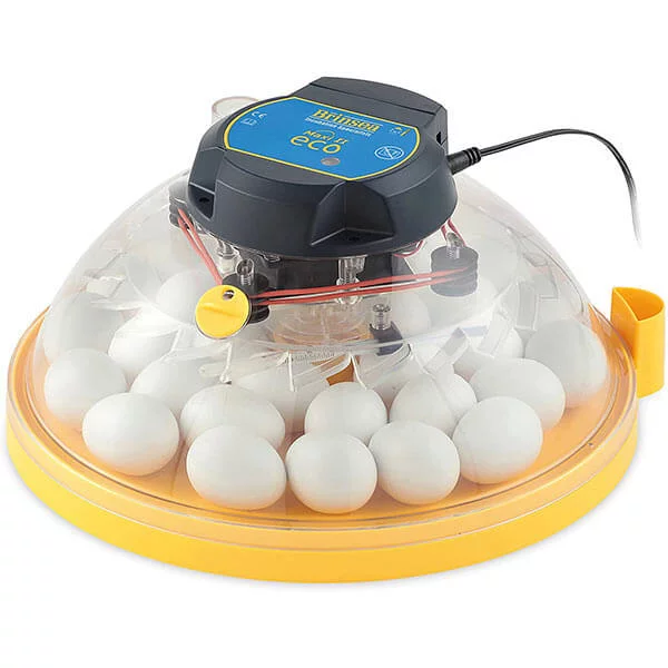 Brinsea Maxi II Eco Incubator (Automatic)