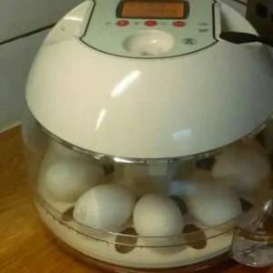 Mini Advance EX Automatic Incubator