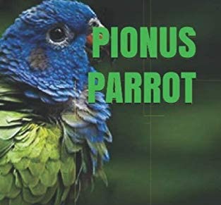 Pionus Parrot Books